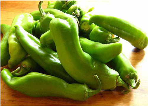 Baklouti Green (Fused) Chili Oil