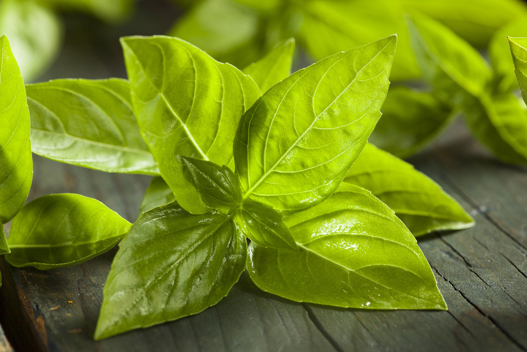 Basil Infused Olive Oil