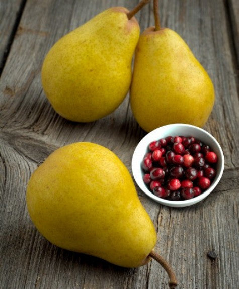 Cranberry - Pear White Balsamic Vinegar Condimento