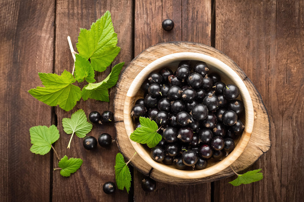 Denissimo Balsamic