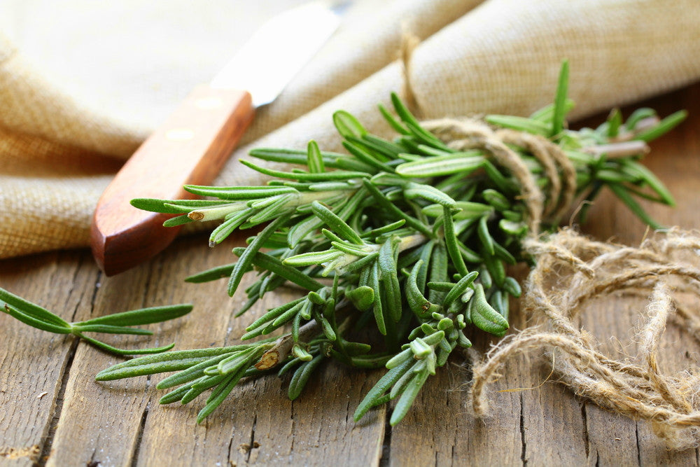 Wild Rosemary (Fused) Olive Oil