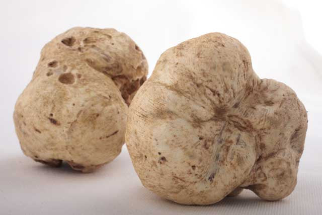 White Truffle Olive Oil