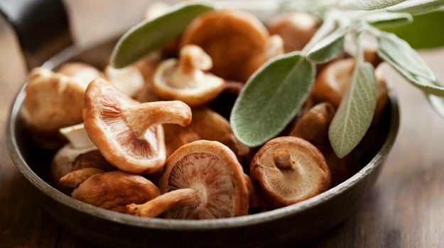 Wild Mushroom and Sage Infused Olive Oil